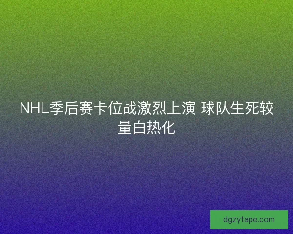 NHL季后赛卡位战激烈上演 球队生死较量白热化